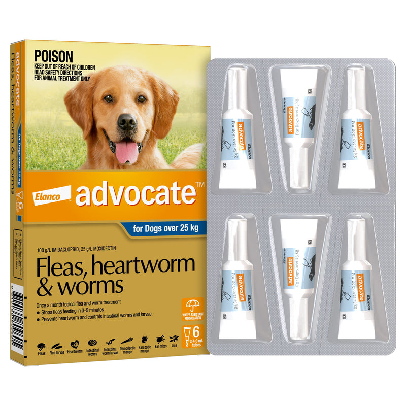 Heartworm Medication Nexgard Tick Treatment Flea And Tick