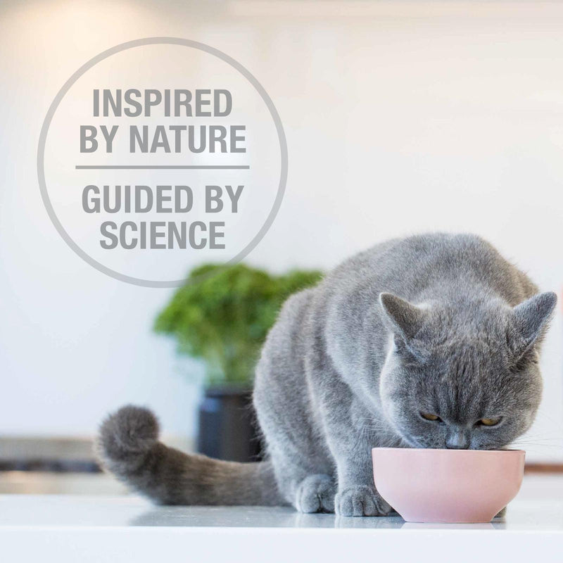 Feline Natural Lamb and Salmon Feast Freeze Dried Cat Food 320g