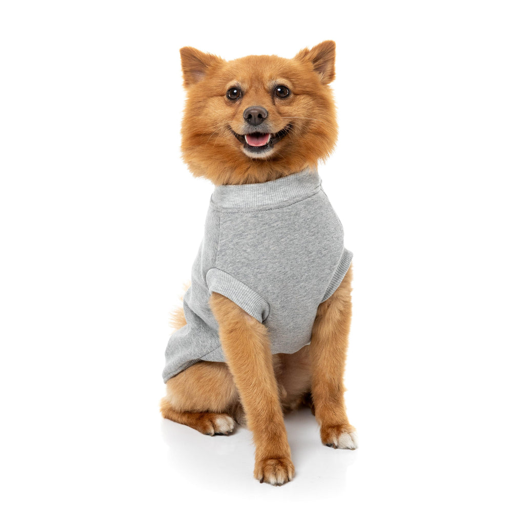 FuzzYard Dog Apparel Allday Sweater Grey Size 1-Habitat Pet Supplies