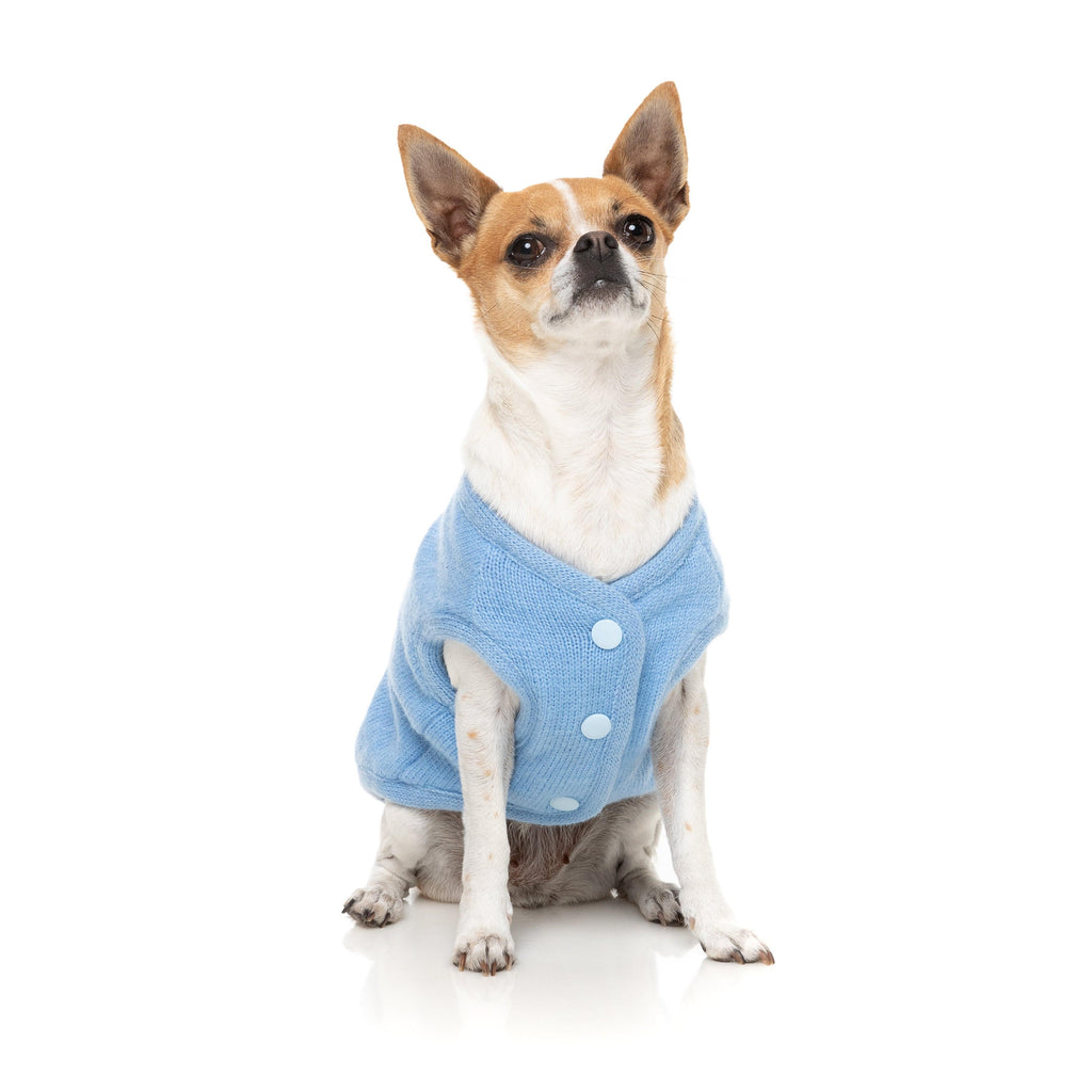 FuzzYard Dog Apparel Jacket Fleur Blue Size 3 ^+^-Habitat Pet Supplies
