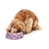 FuzzYard Fiesta Dog Bowl Small