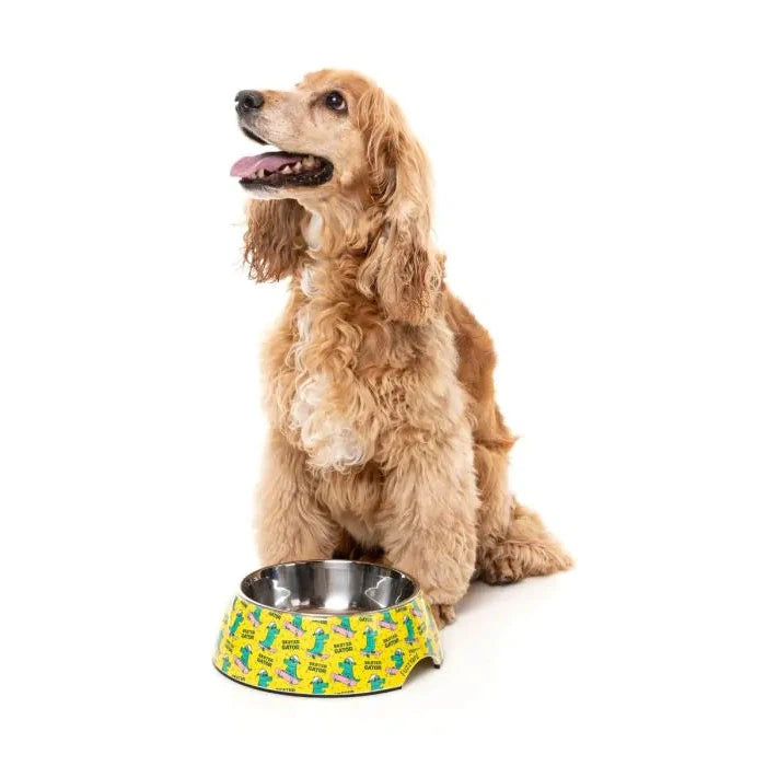 FuzzYard Sk8ter Gator Dog Bowl Medium