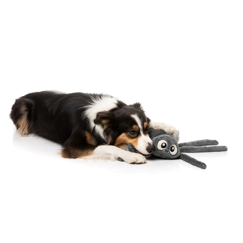 Fuzzyard Halloween Arachnate the Spider Dog Toy --^--