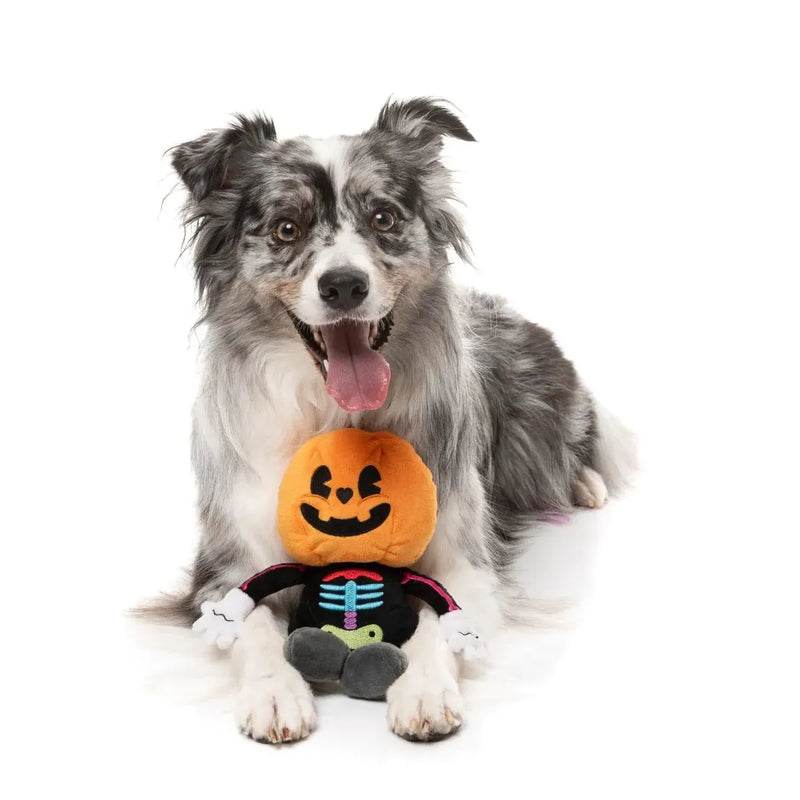 Fuzzyard Halloween Boo-ternut Dog Toy --^--