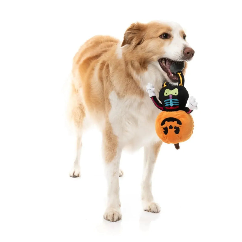 Fuzzyard Halloween Boo-ternut Dog Toy --^--