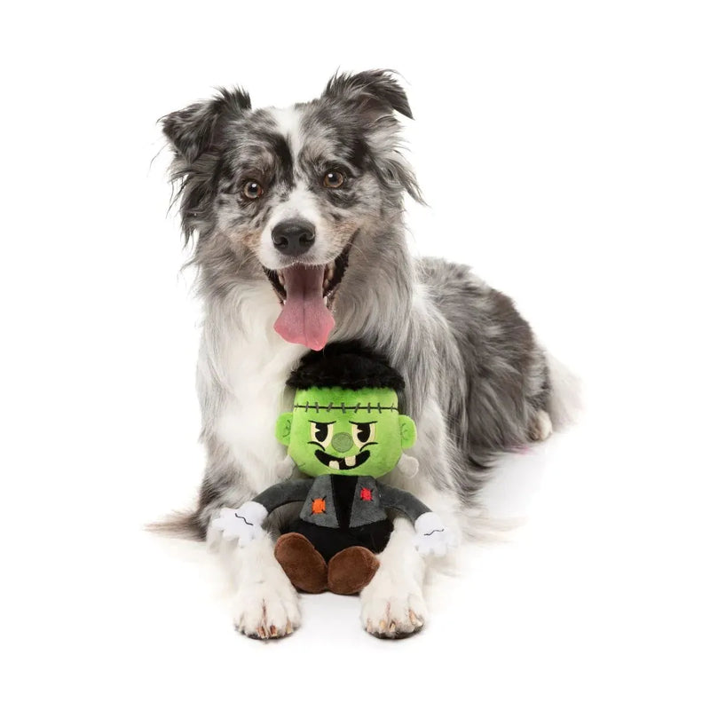 Fuzzyard Halloween Igor Dog Toy --^--