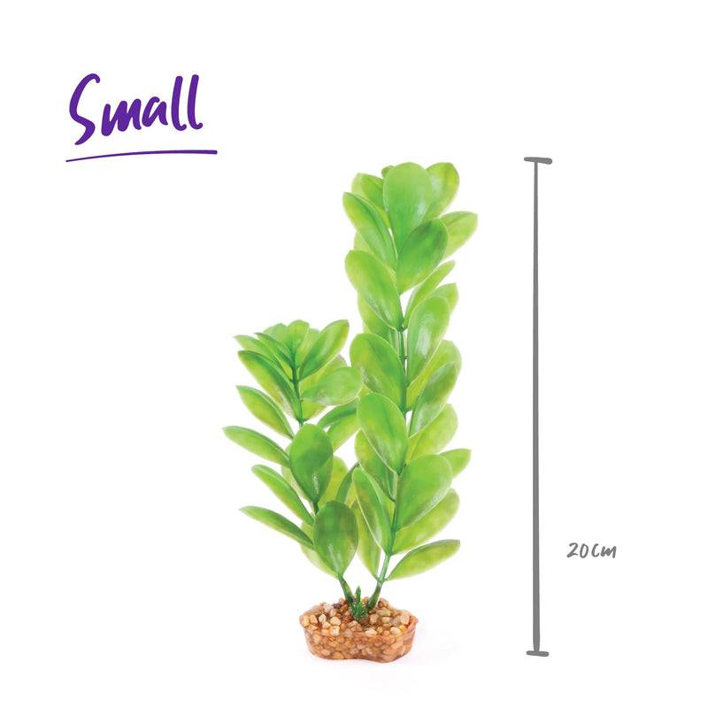 Kazoo Aquarium Artificial Plant Green with Large Leaves 20cm