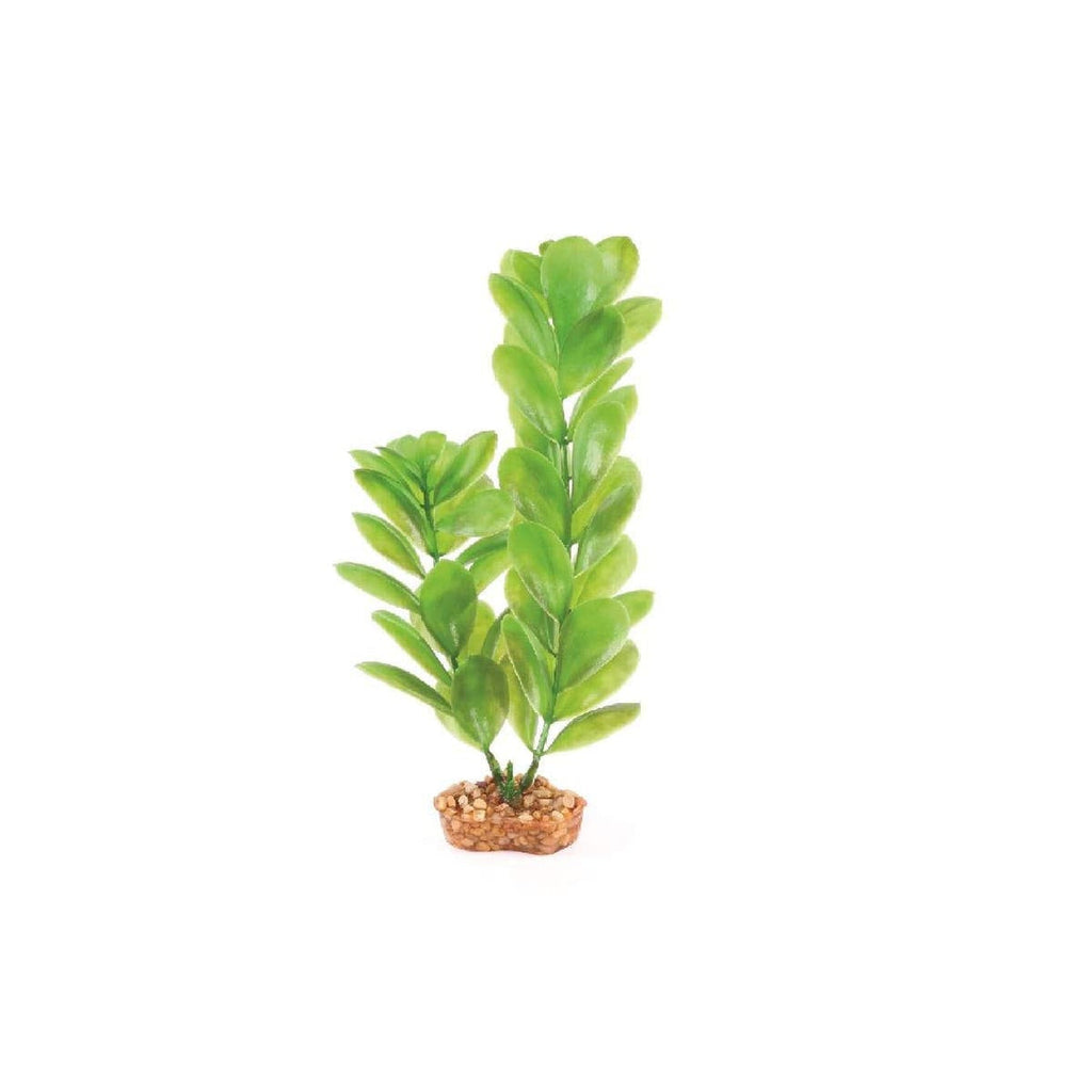 Kazoo Aquarium Artificial Plant Green with Large Leaves 20cm-Habitat Pet Supplies