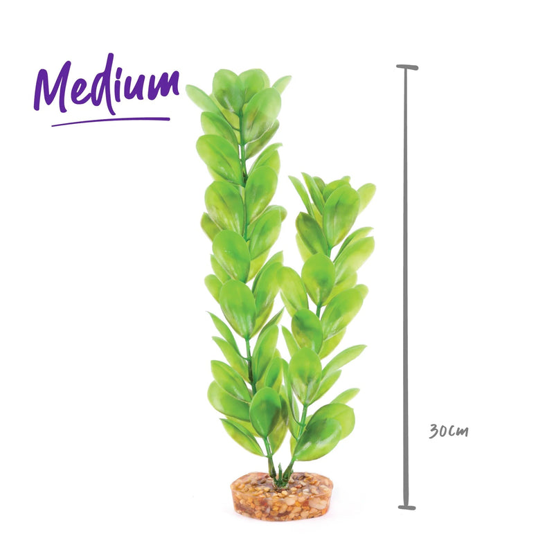 Kazoo Aquarium Artificial Plant Green with Large Leaves 30cm