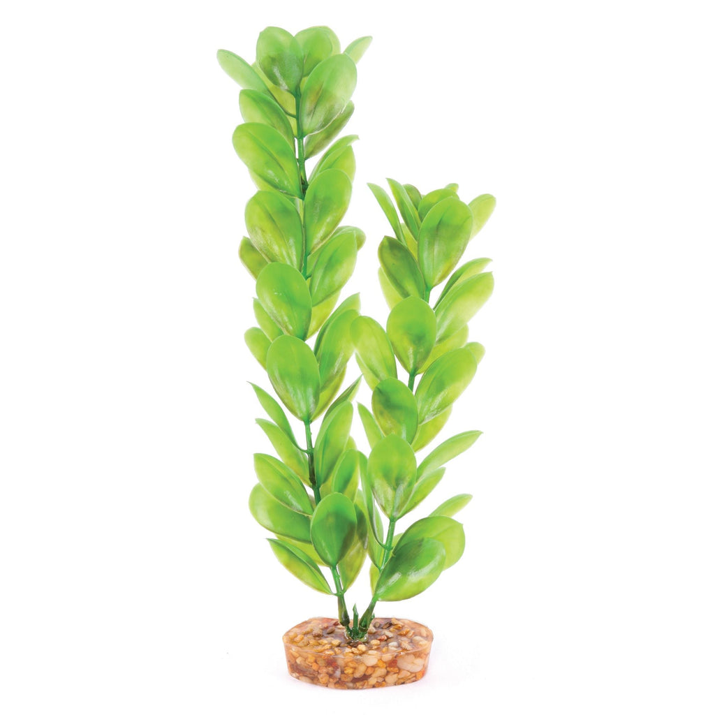 Kazoo Aquarium Artificial Plant Green with Large Leaves 30cm-Habitat Pet Supplies