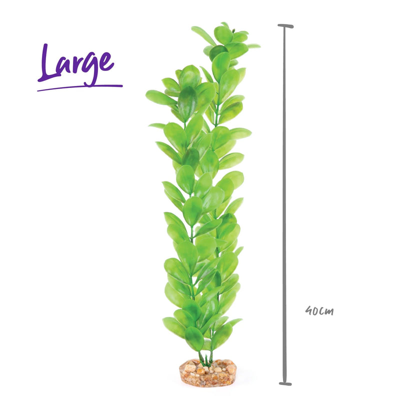 Kazoo Aquarium Artificial Plant Green with Large Leaves 40cm