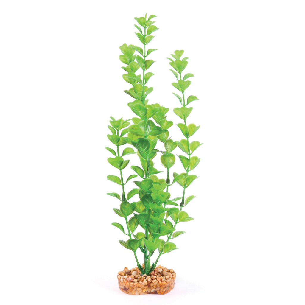 Kazoo Aquarium Artificial Plant Green with Medium Leaves 20cm-Habitat Pet Supplies