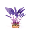 Kazoo Aquarium Artificial Plant Purple or Orange Silk with Thin Leaves Medium-Habitat Pet Supplies