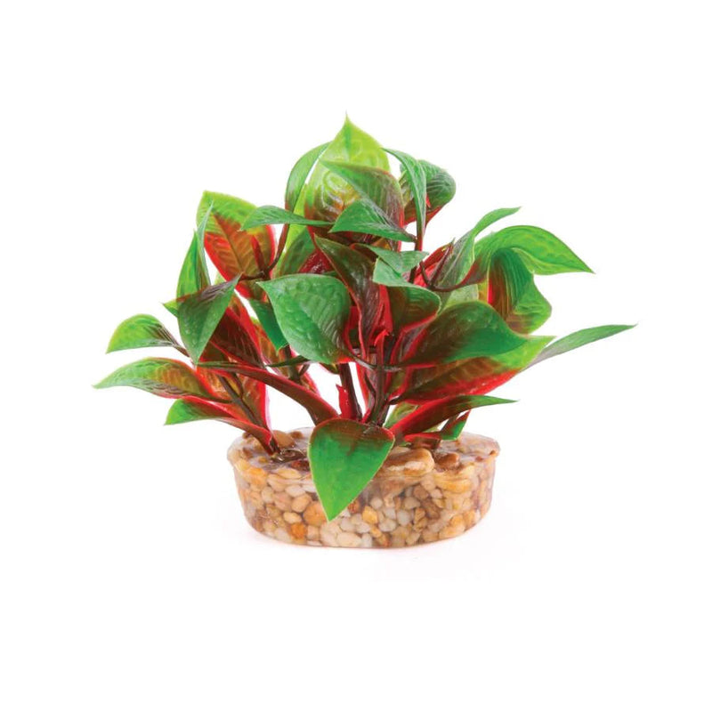 Kazoo Aquarium Artificial Plants Mini Assorted