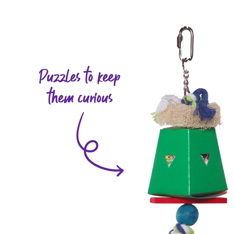 Kazoo Bird Toy Twin Ball and Cardboard Foraging Toy