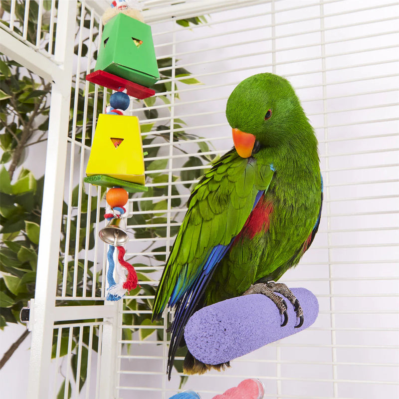 Kazoo Bird Toy Twin Ball and Cardboard Foraging Toy