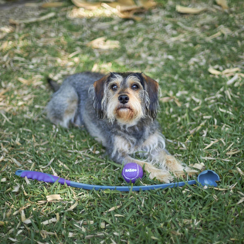 Kazoo Eco Friendly Ball Thrower Dog Toy Medium ^._.^