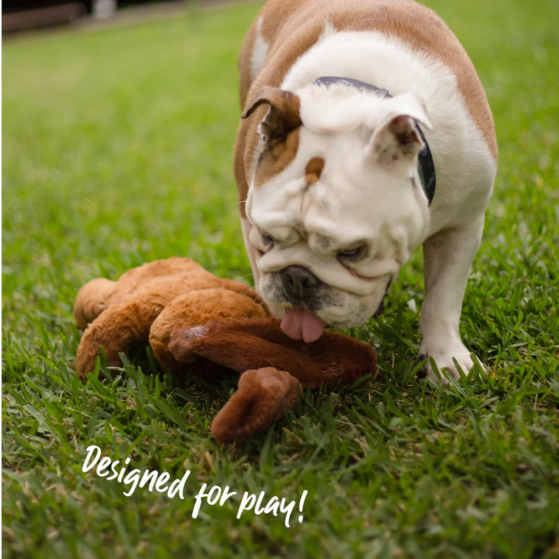 Kazoo Furries Long Ears Dog Medium Dog Toy