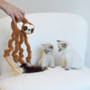 Kazoo Long Legged Sloth Cat Toy ^._.^