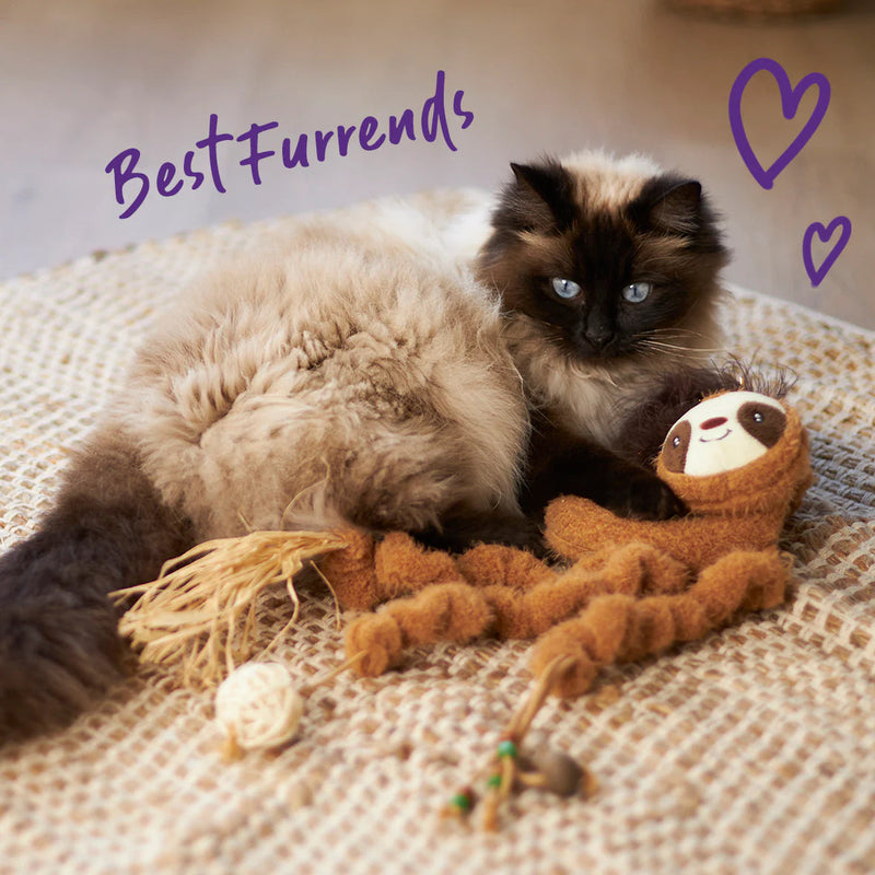 Kazoo Long Legged Sloth Cat Toy ^._.^