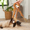 Kazoo Long Legged Sloth Cat Toy ^._.^