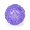 Kazoo Space Ball Large Dog Toy ^._.^