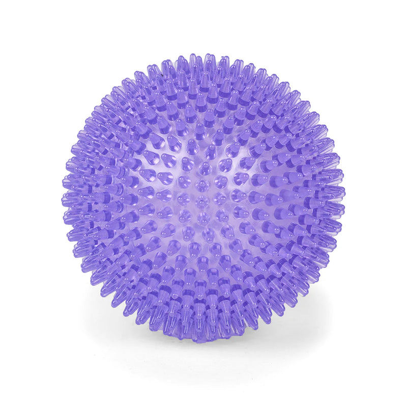 Kazoo Space Ball Large Dog Toy ^._.^