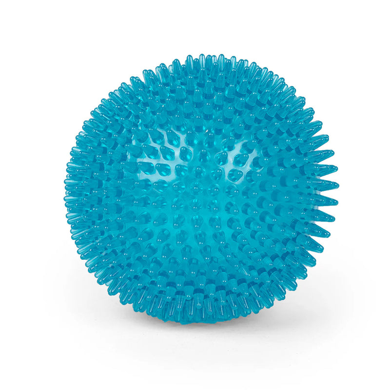 Kazoo Space Ball Large Dog Toy ^._.^-Habitat Pet Supplies