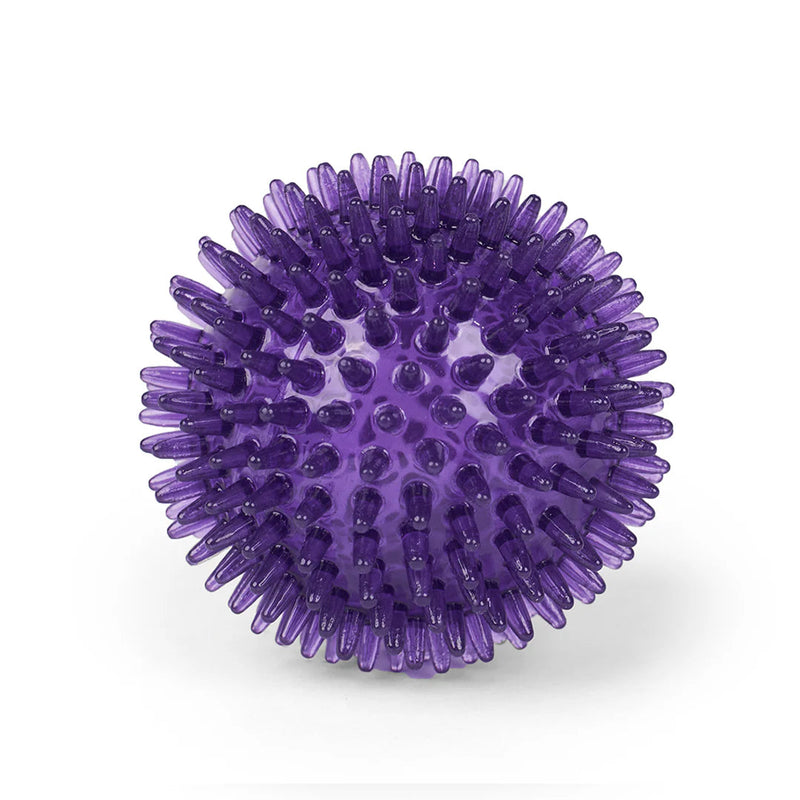 Kazoo Space Ball Medium Dog Toy ^._.^