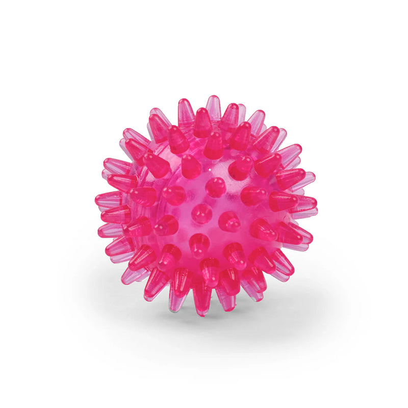 Kazoo Space Ball Small Dog Toy ^._.^
