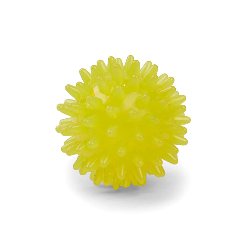 Kazoo Space Ball Small Dog Toy ^._.^-Habitat Pet Supplies
