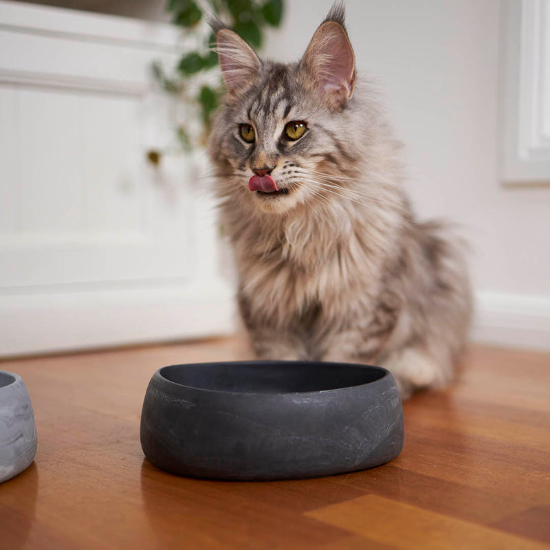 Kazoo The Better Bowl Recycled Plastic Ergonomic Dog and Cat Bowl Charcoal