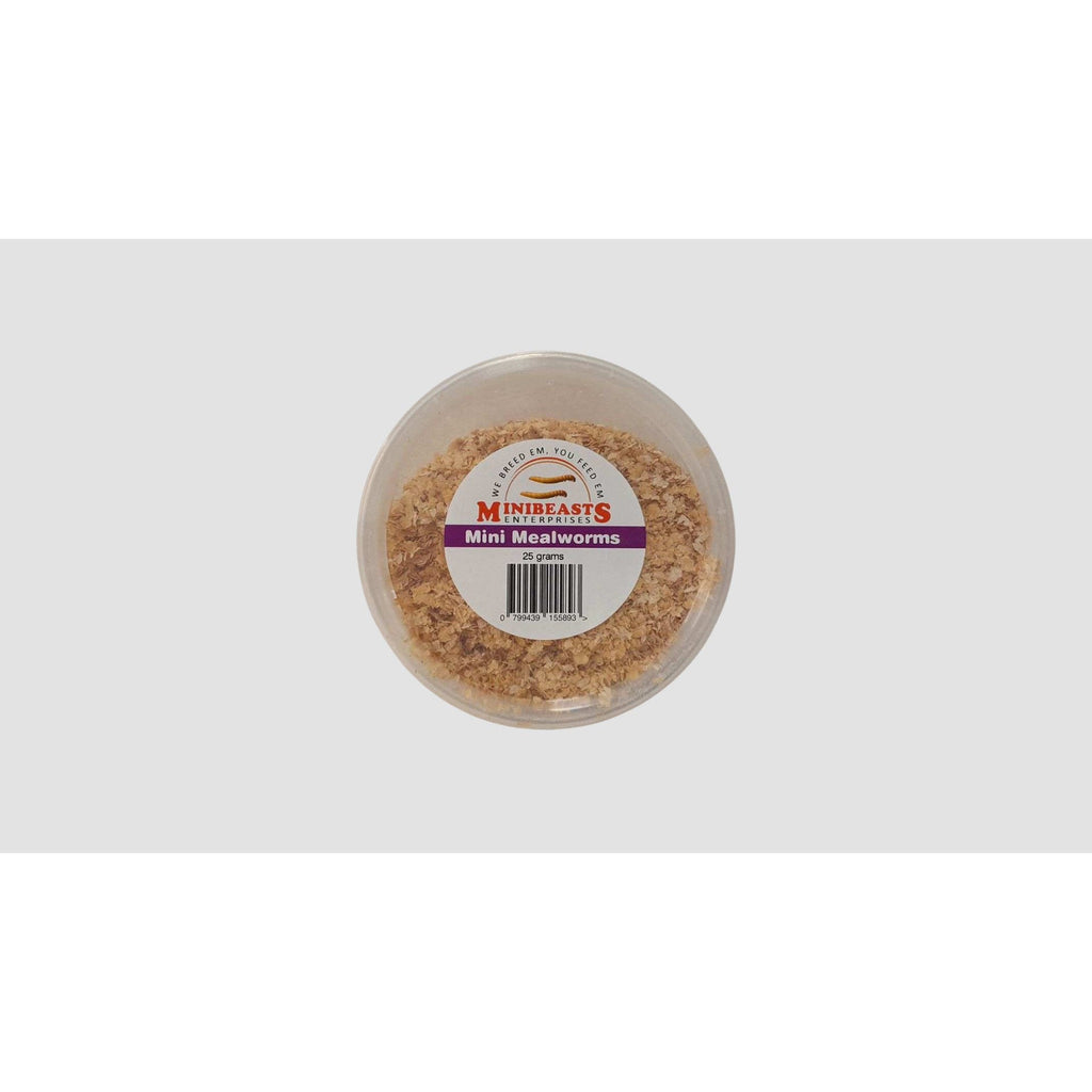 Minibeasts Mealworms Mini 25G-Habitat Pet Supplies