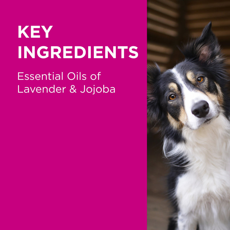 PAW by Blackmores Conditioning and Grooming Spray for Dogs 200ml