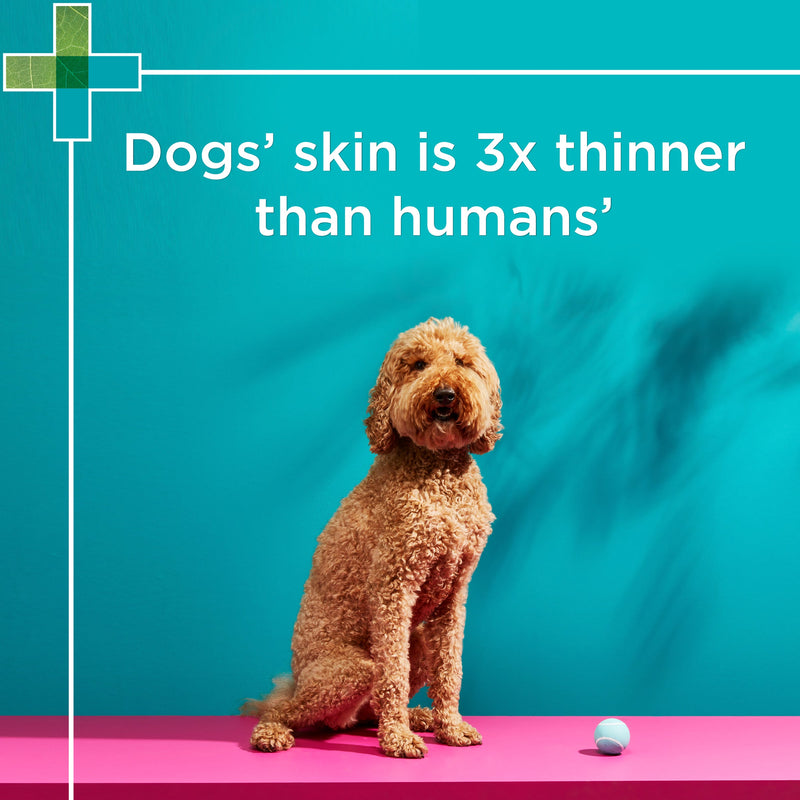 PAW by Blackmores Conditioning and Grooming Spray for Dogs 200ml