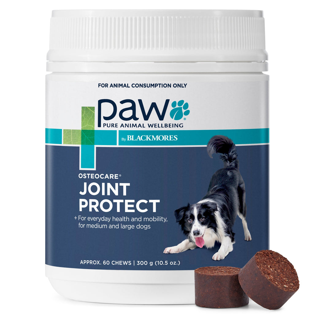 PAW by Blackmores Osteocare Joint Protect Chews for Dogs 300g-Habitat Pet Supplies
