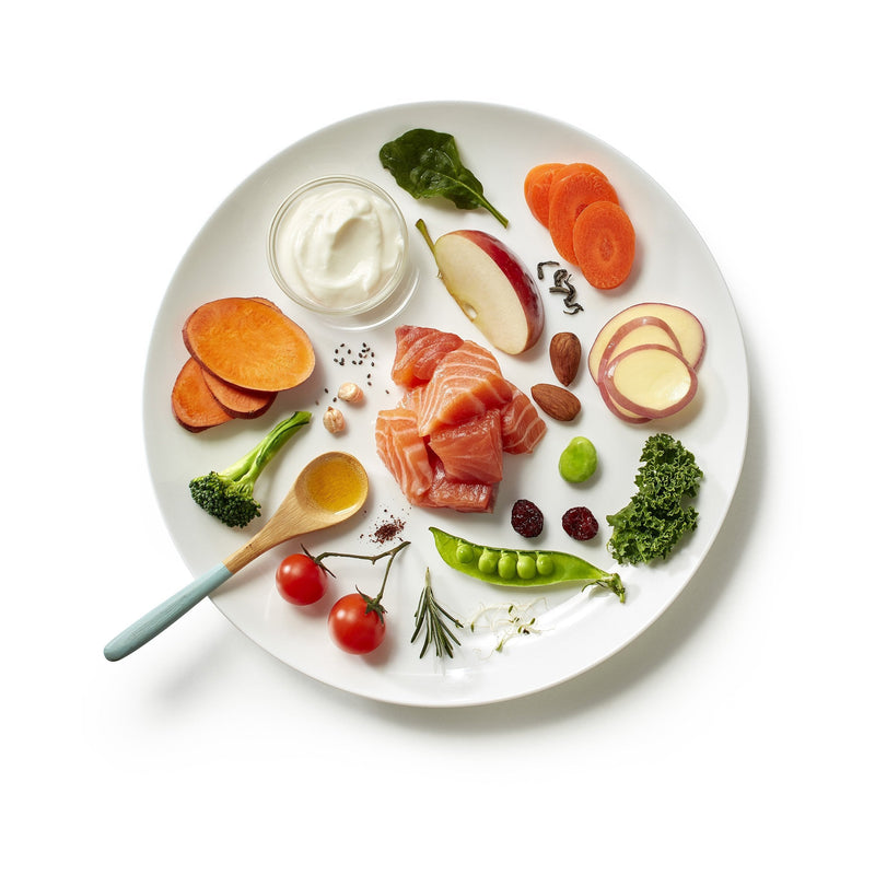 Pure Life Natural Boost Salmon Dry Dog Food 1.8kg