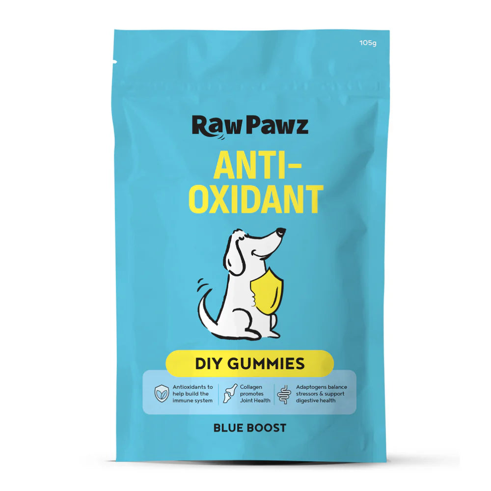 Raw Pawz DIY Gummies Blue Boost Dog Treats 90g-Habitat Pet Supplies