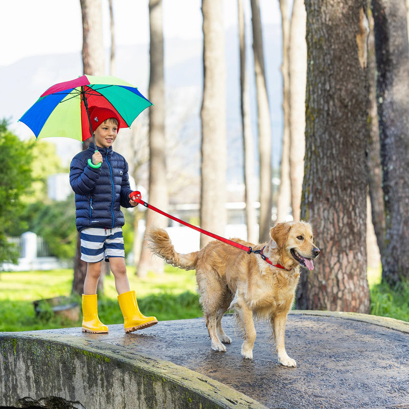 Rogz Classic Amphibian Black Dog Lead Extra Large