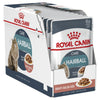 Royal Canin Cat Hairball Care Adult Wet Food Gravy 85g x 12-Habitat Pet Supplies
