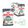Royal Canin Digestive Care Loaf Wet Food Pouch 85g x12-Habitat Pet Supplies