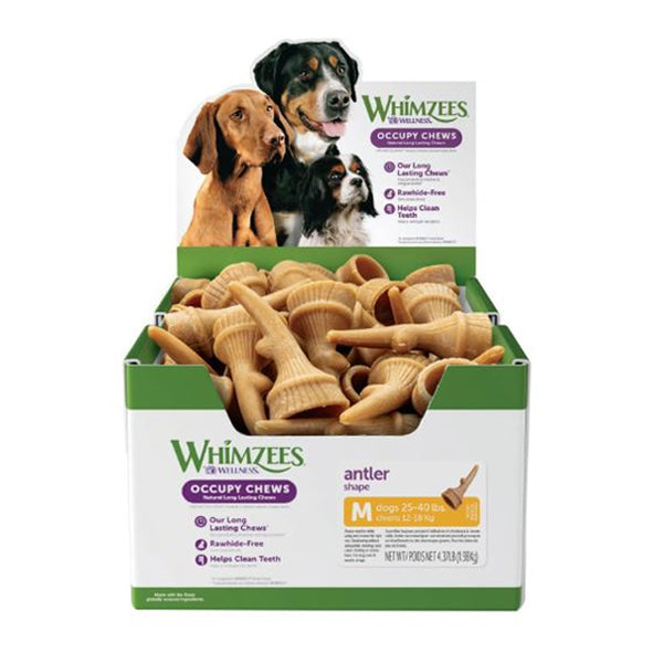 Whimzees Antler Occupy Dog Treat Medium Bulk Box 66 Pack-Habitat Pet Supplies