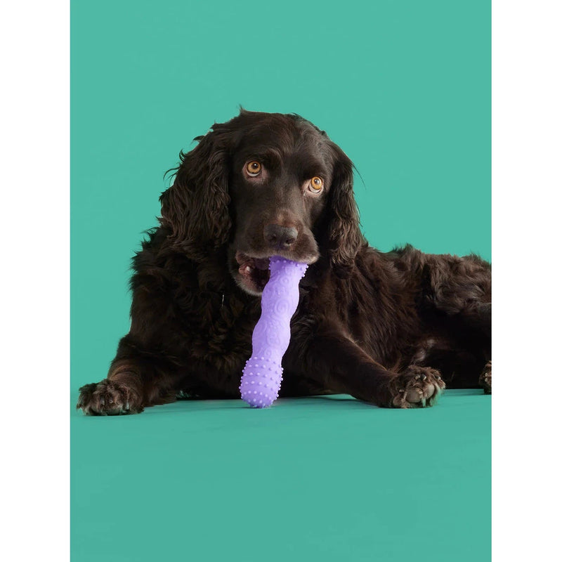 Yomp ToothBuddy BPA Free Food Grade Silicone Dog Toy Habitat Pet Supplies