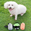 Zippy Paws Halloween Squeakie Buddies Bat, Pumpkin, Monster Dog Toy --^--