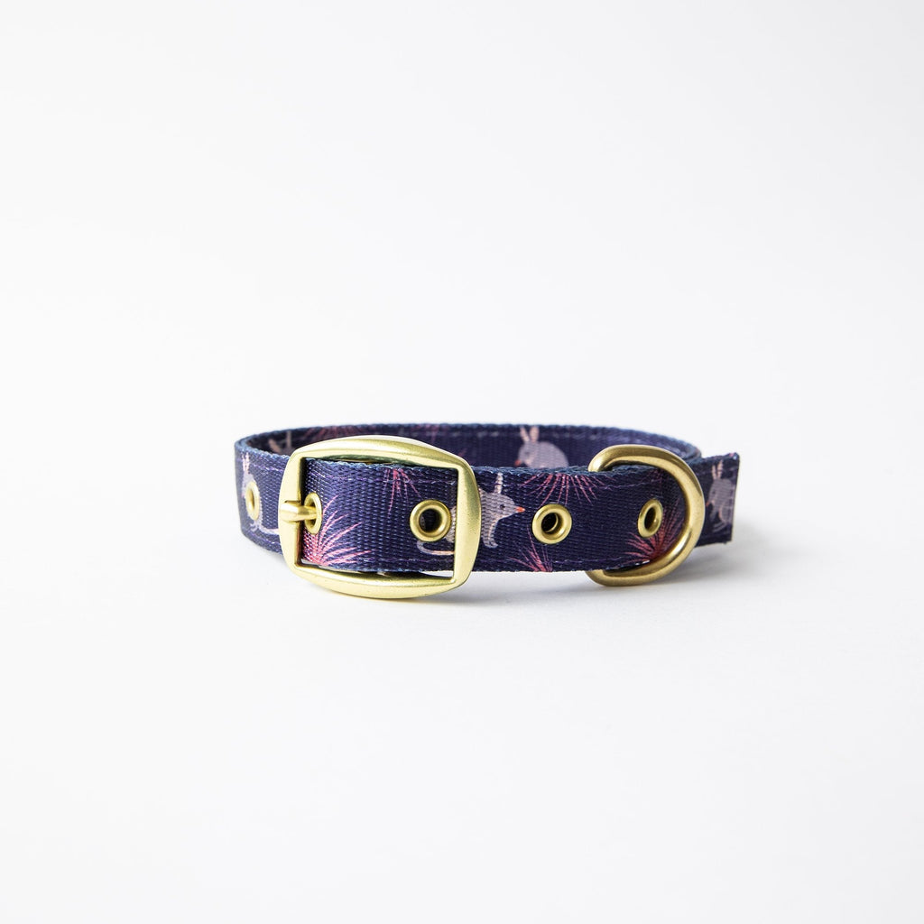 Anipal Billie the Bilby Recycled Dog Collar Medium***-Habitat Pet Supplies