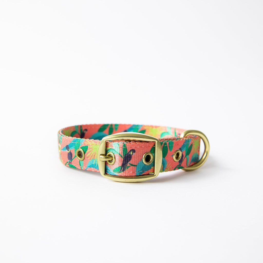 Anipal Clancy the Black Cockatoo Recycled Dog Collar Large***-Habitat Pet Supplies
