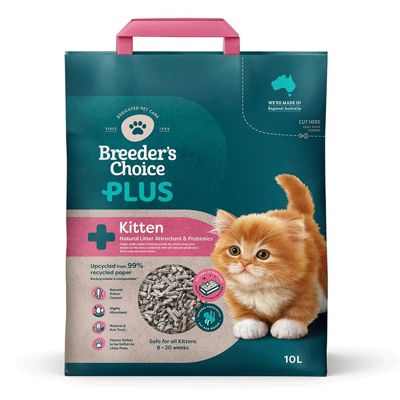 Kitten eating litter pellets 2025