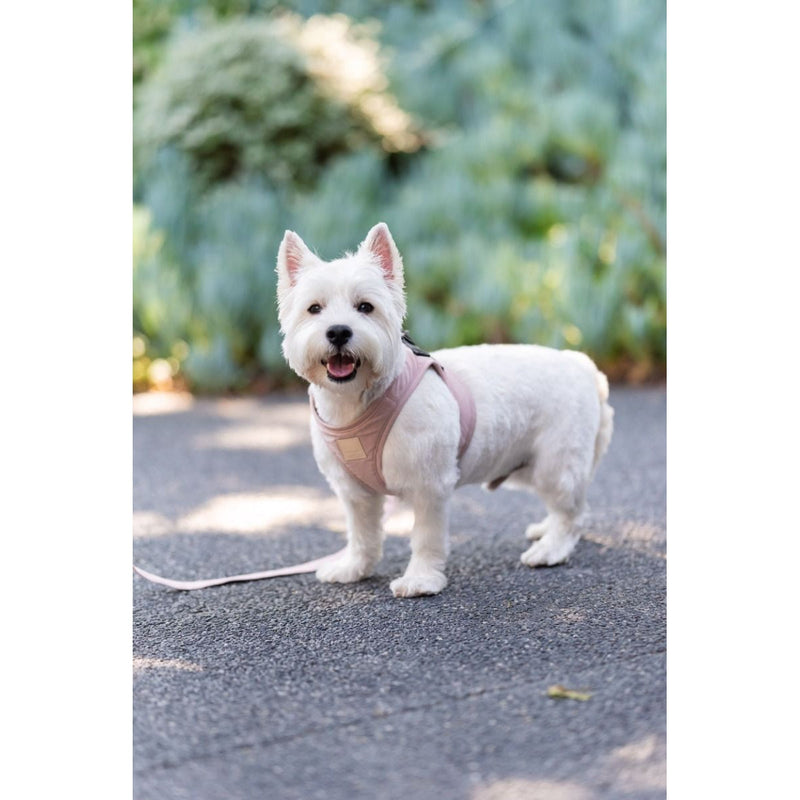 FuzzYard Life Step In Dog Harness Soft Blush Medium