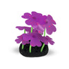 Happy Deko Wham Fluro Feather Coral Fish Tank Ornament*