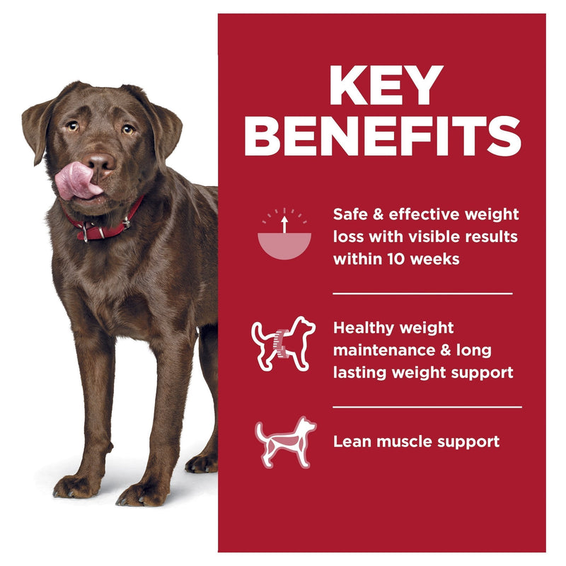 Is hills dog food safe hotsell